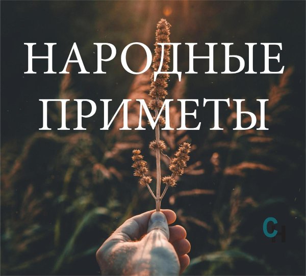 народная примета