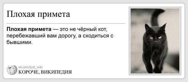 черная кошка суеверие