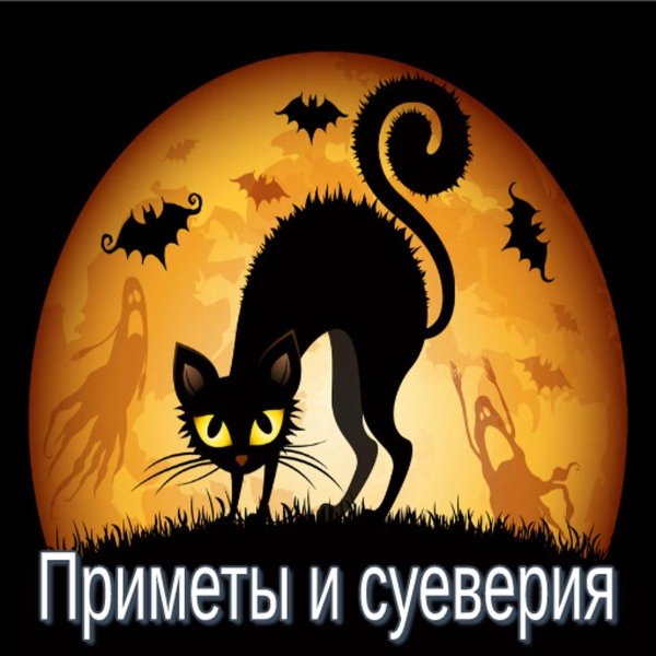 хэллоуин кошка