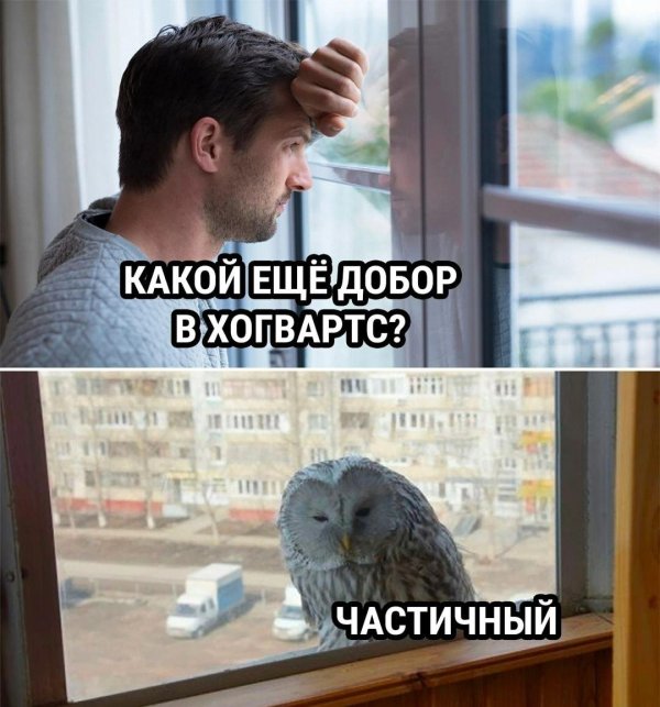 мем смешно