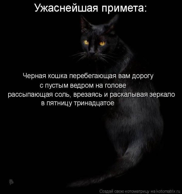 чëрная кошка