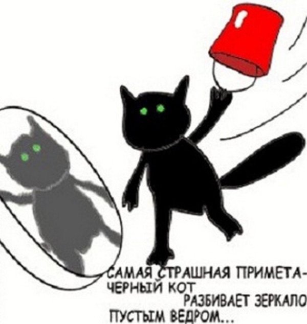 страшный черный кот