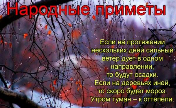 дождливая осень