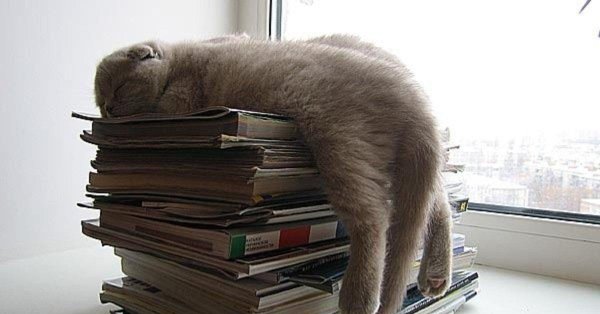 ну вот опять работа