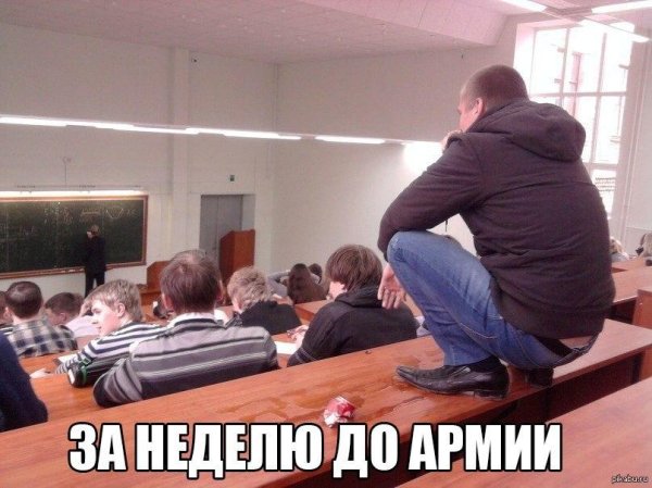 демотиваторы недели