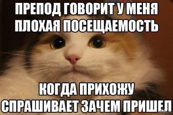 первокурсник мем