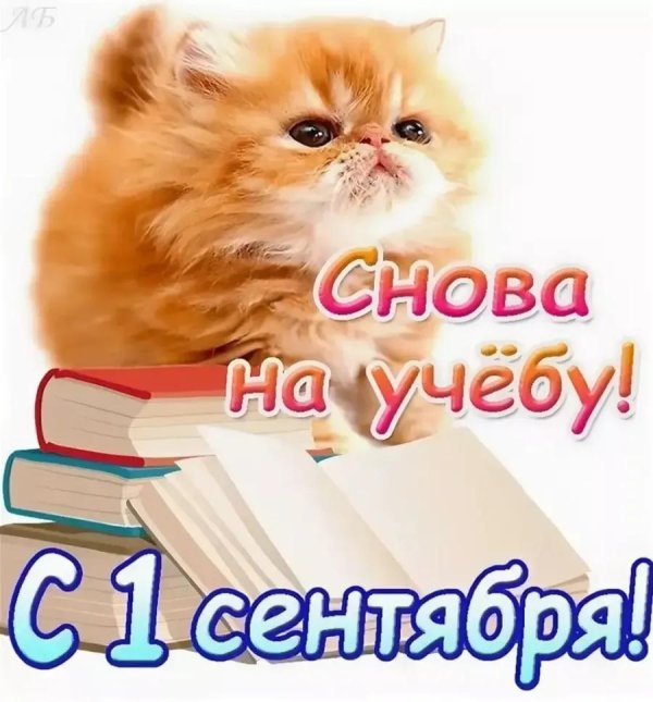 с 1 сентября студент