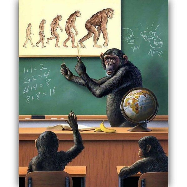 обезьяна ученый