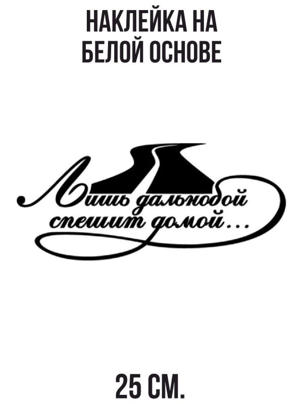 лишь дальнобой спешит домой