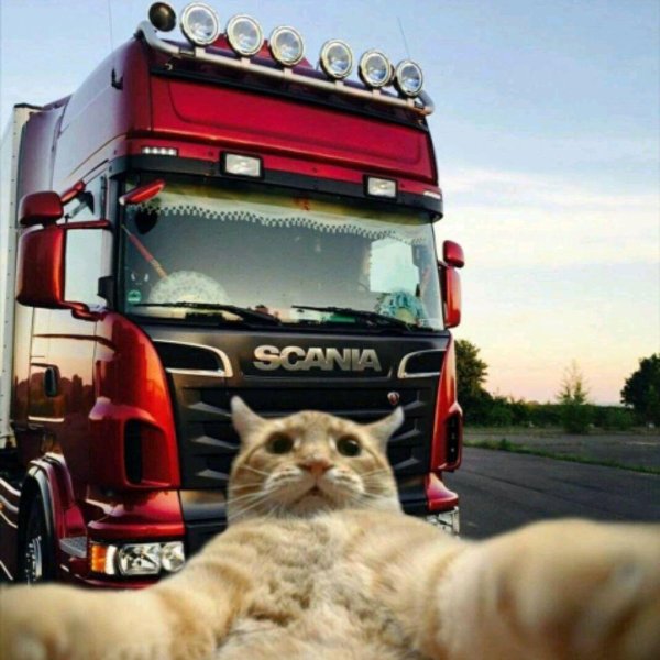 дальнобойные фуры