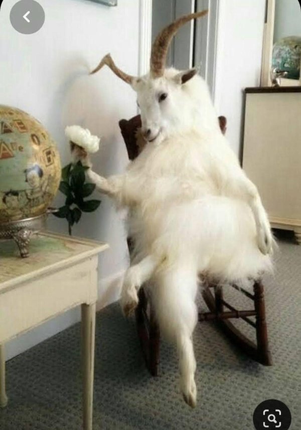 смешной козлик