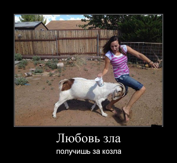 Коза