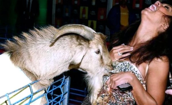 мужики козлы