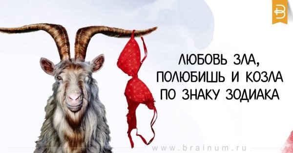 любовь зла полюбишь и