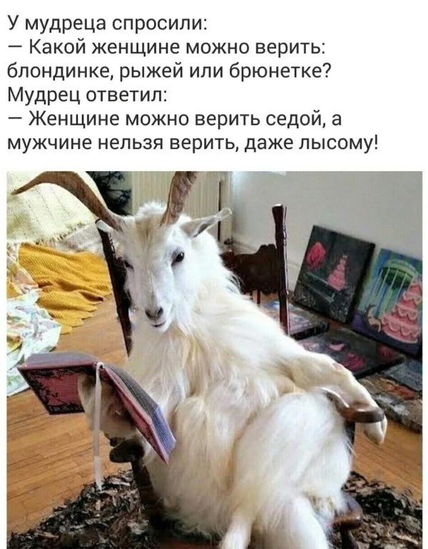 козлы по жизни