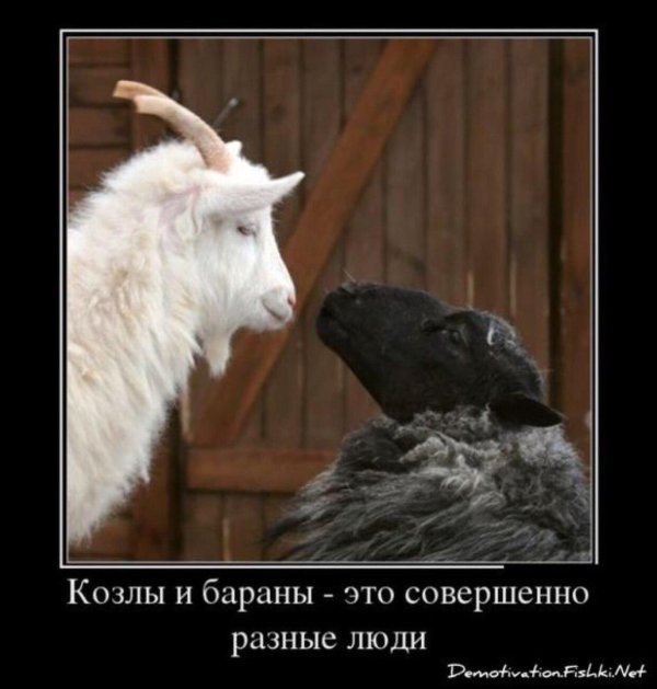 коза животное