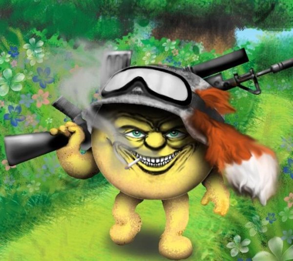 боевые колобки