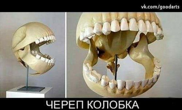 череп с зубами