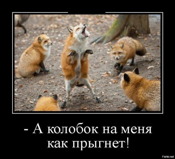 лиса демотиватор