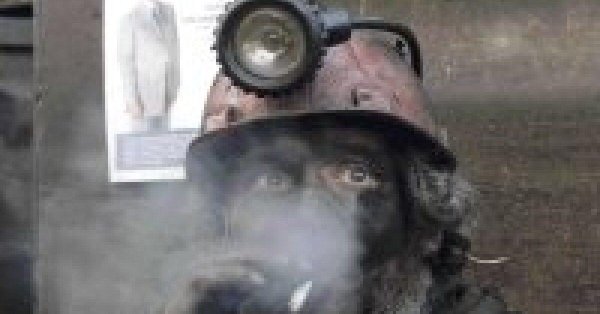 шахтер после смены