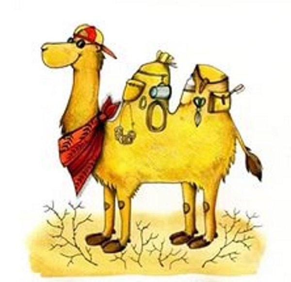 рисунки верблюда