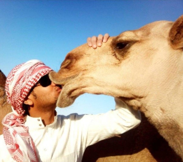 бедуины саудовской аравии