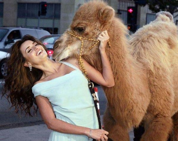 жена животное