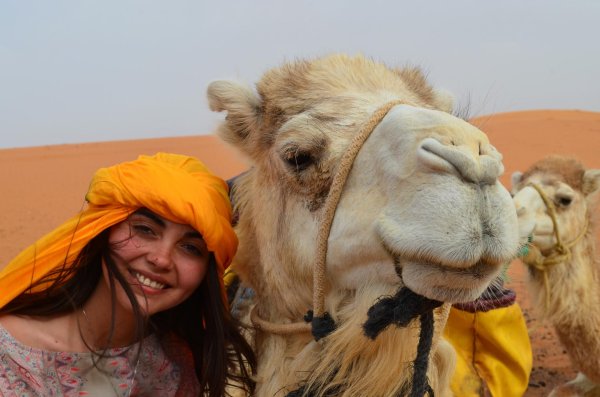 марокко верблюды