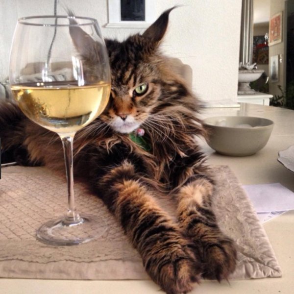 уютной пятницы