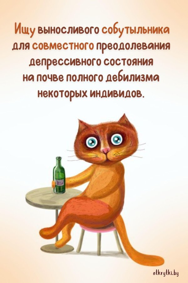 веселые высказывания