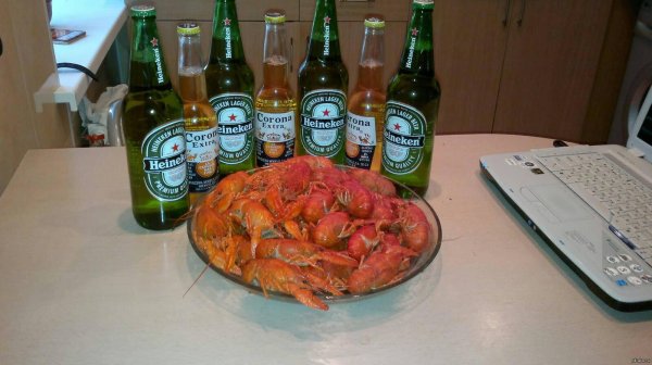 раки с пивом