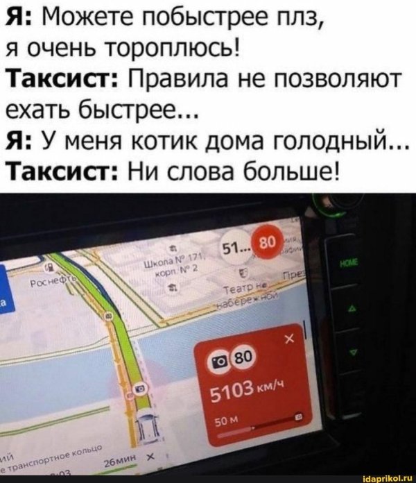 самые прикольные истории