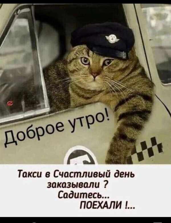 доброе утро таксисты