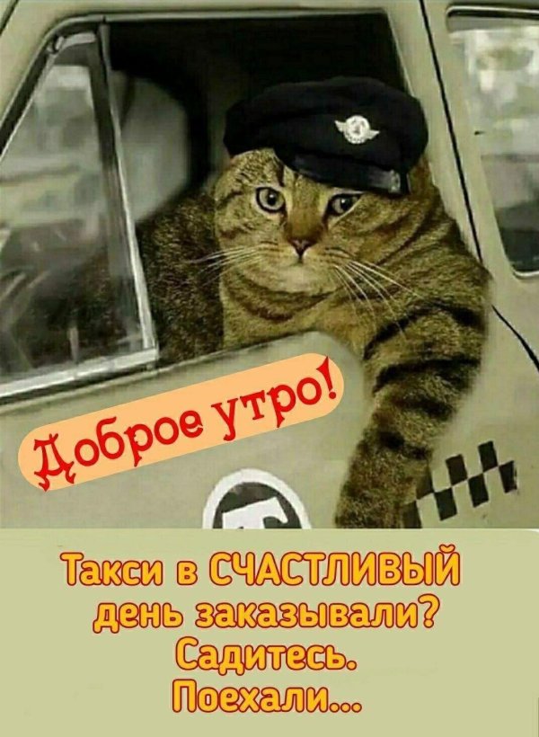 доброе утро таксисты