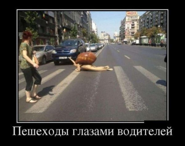 дорога пешеход