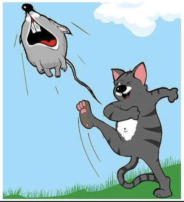 кошка мультяшка