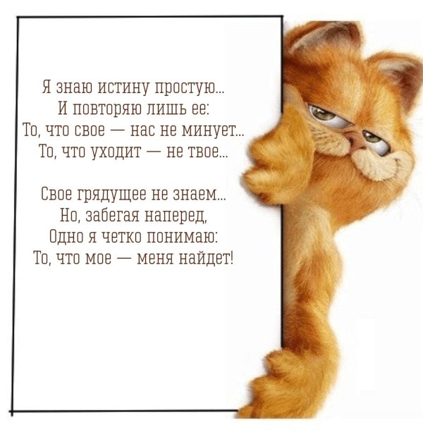 мультик гарфилд