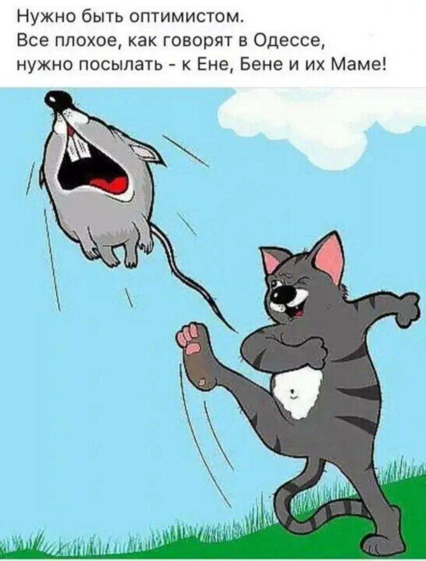 юмор открытки