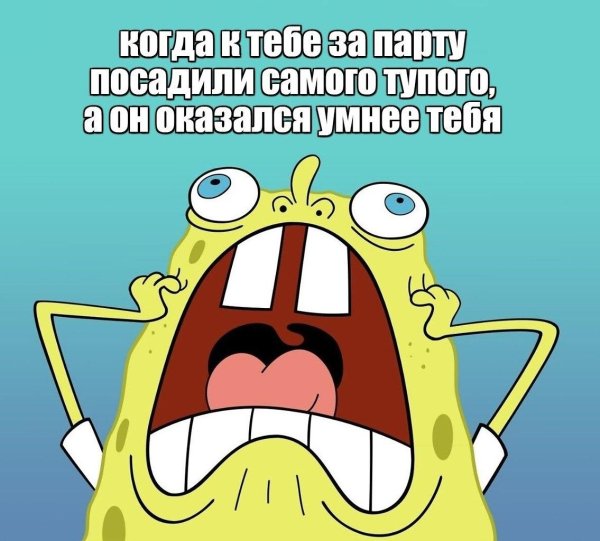 bob esponja
