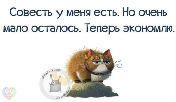 веселые высказывания