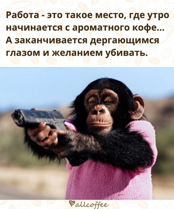 обезьянка с пистолетом