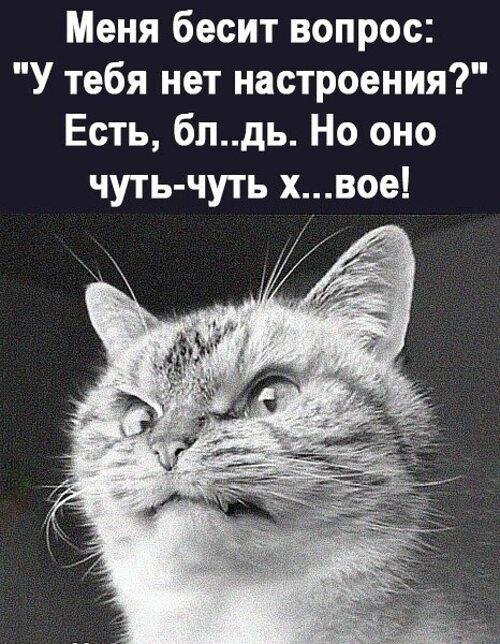 нет настроение