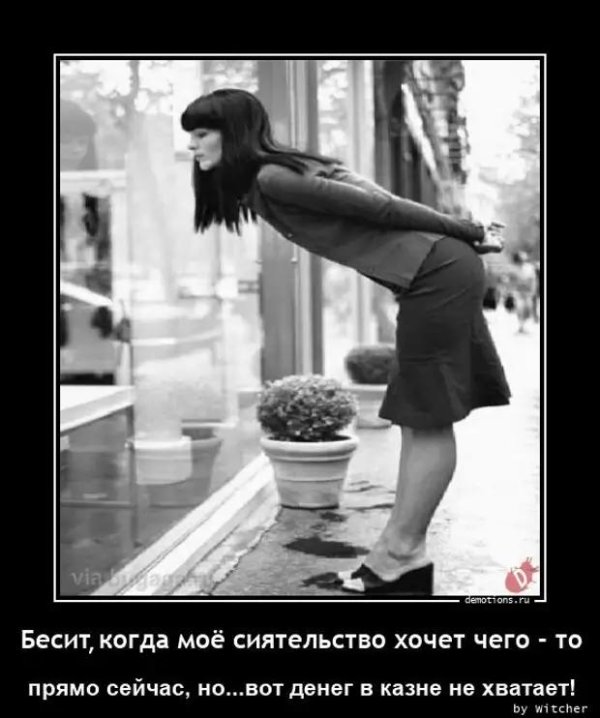 смешное высказывание