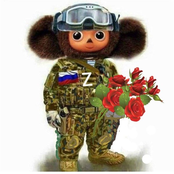 боевой чебурашка