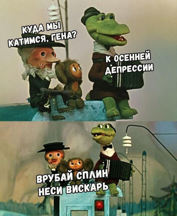 куда мы катимся гена