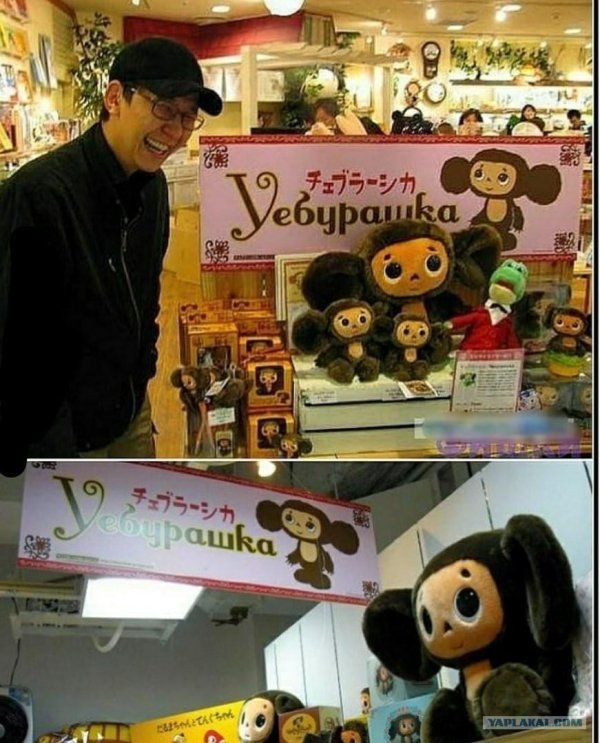 японский чебурашка