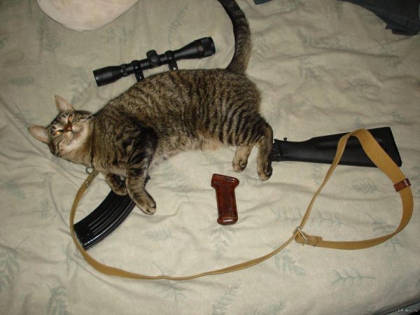 С оружием