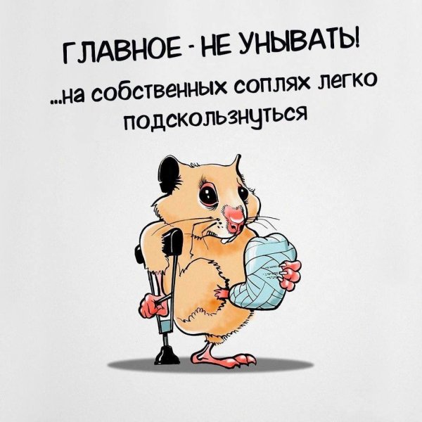 хомяк прикольный