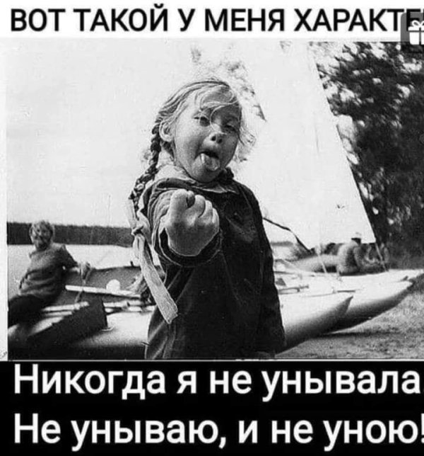 веселые высказывания