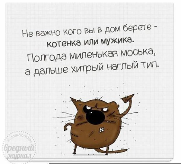 вредный журнал